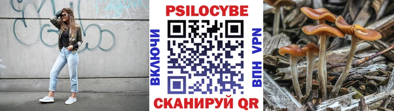 Псилоцибиновые грибы ЛСД наркота Белоусово